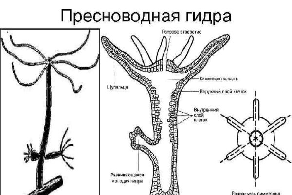 Kraken istand onion ссылка