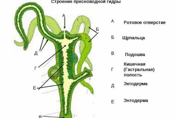 Кракен наркологический